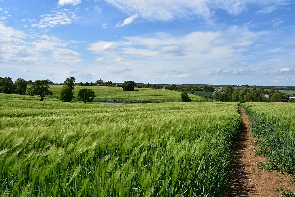 The view across beautiful Northamptonshire countryside to the village of Wappenham