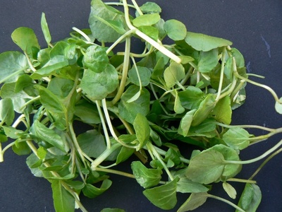 Cheese and Watercress Bread