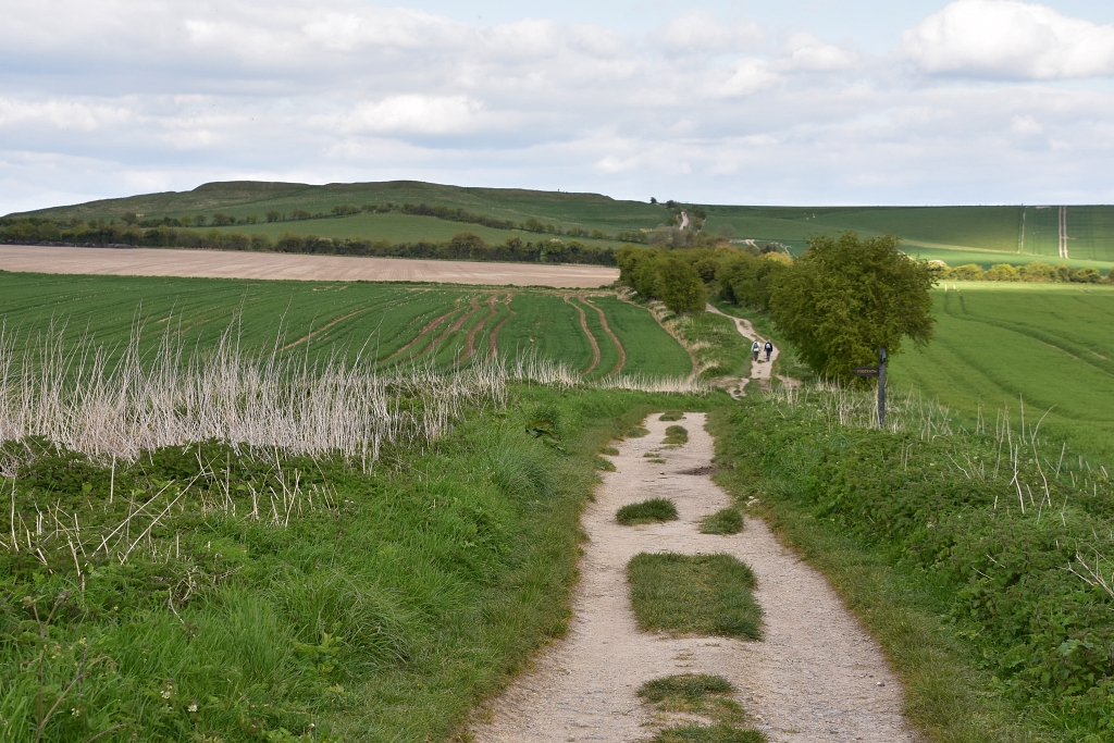 The Ridgeway Heading Towards Uffington Castle © essentially-england.com