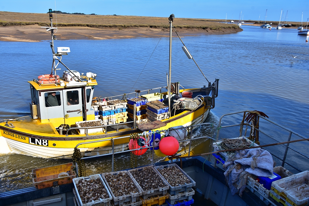 The Latest Catch at Wells-next-the-Sea © essentially-england.com