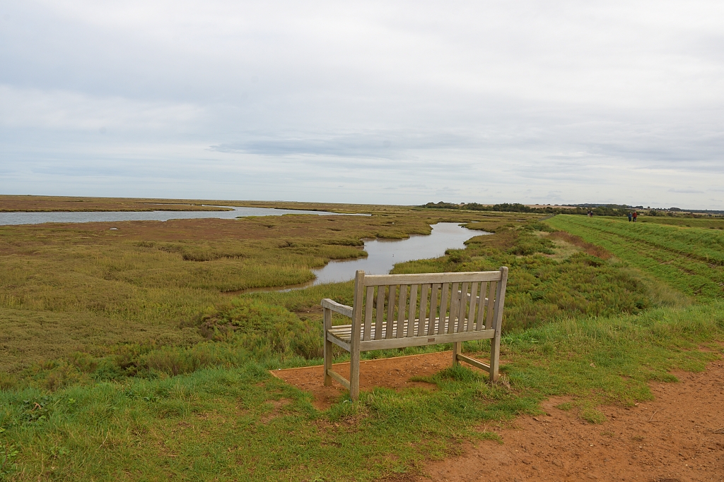An Ideal Spot for Nature Watching in the Saltmarsh Outside of Wells-next-the-Sea