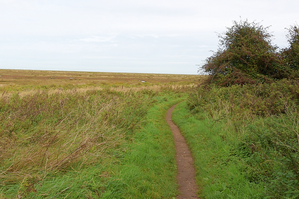 Norfolk Coast Path Between Wells-next-the-Sea and Stiffkey