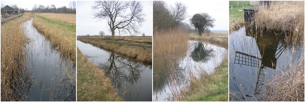 Wicken Fen Nature Reserve in Cambridgeshire © essentially-england.com