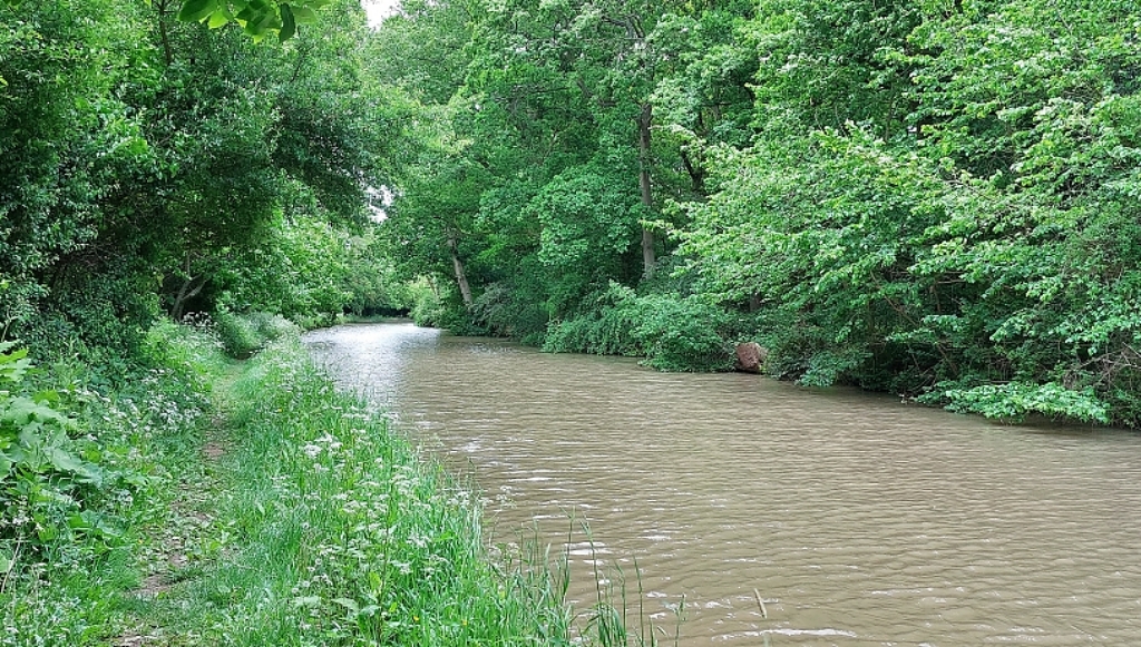 Great Nature Watching Along the Canal © essentially-england.com
