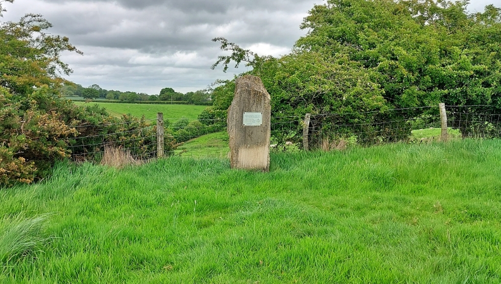 Standing Stone on Honey Hill