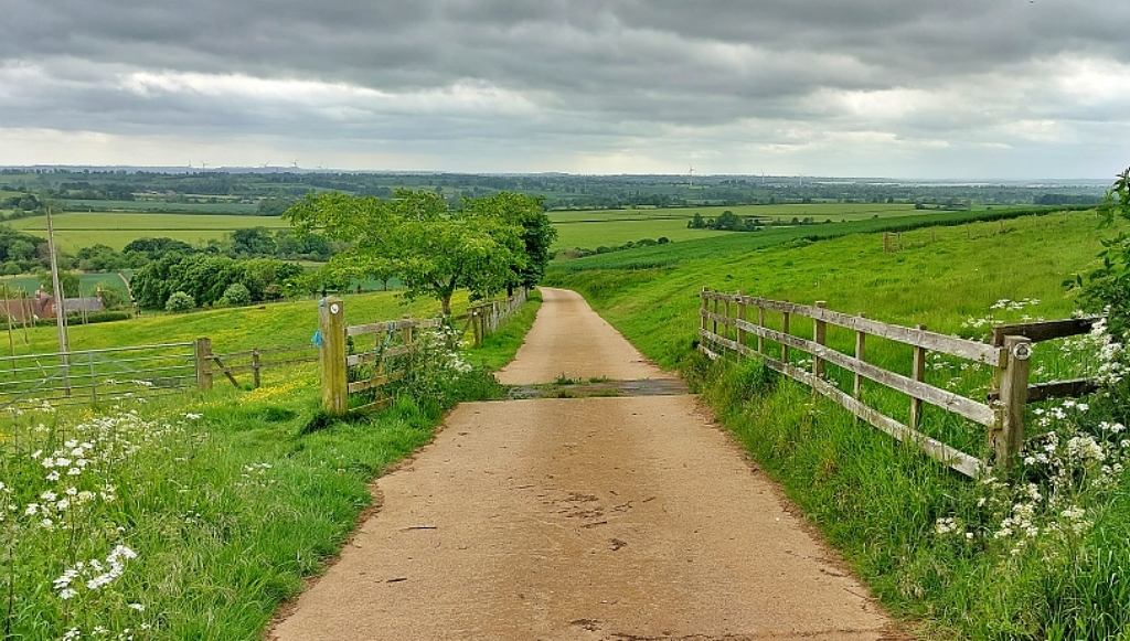 View From Honey Hill