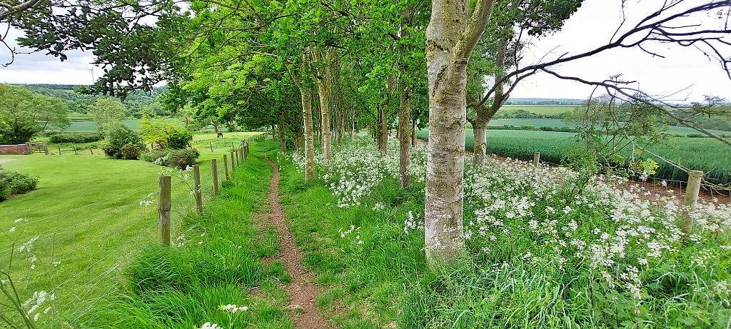 Rural Northamptonshire Countryside on our Winwick Walk