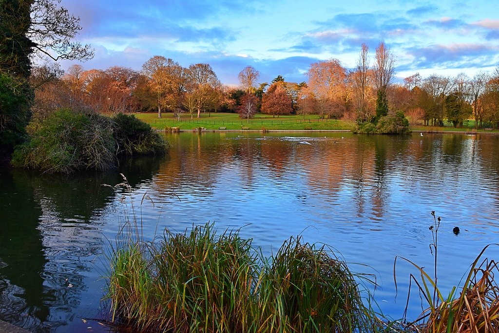 Autumn Sunshine in Abington Park