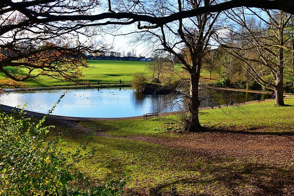 A Fine Spot by the Pond for a Picnic Lunch