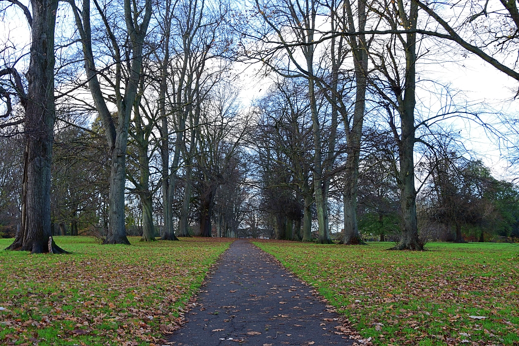 Tree Avenue in Abington Park