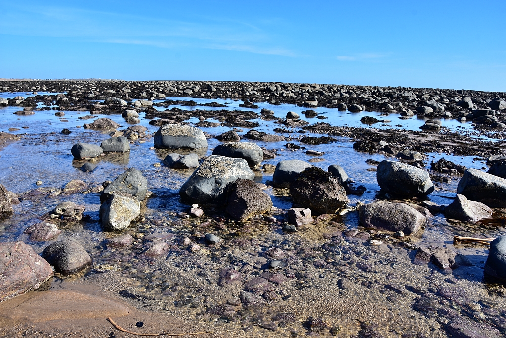 Rock Pools on Alnmouth Beach