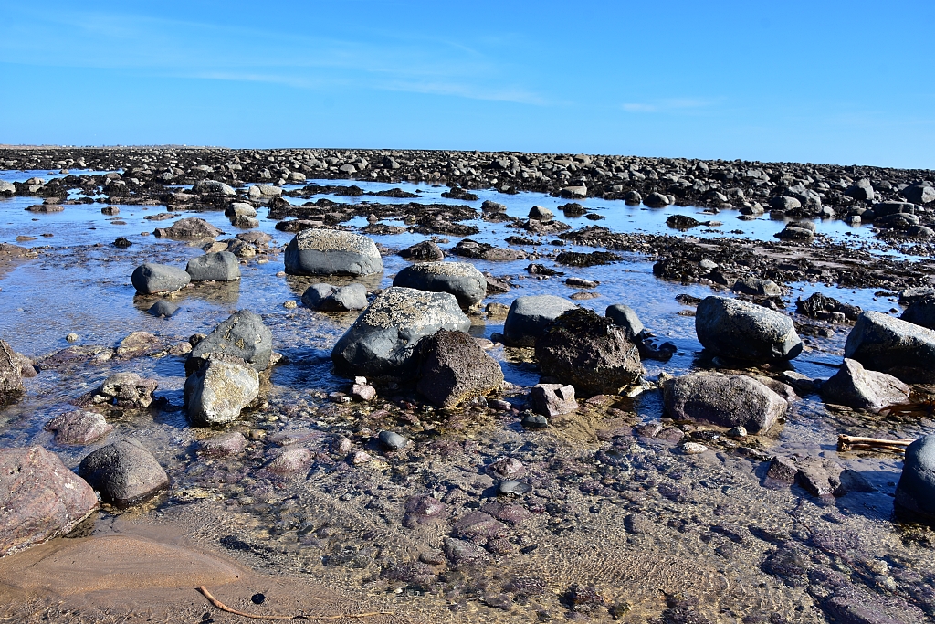 Rock Pools on Alnmouth Beach © essentially-england.com