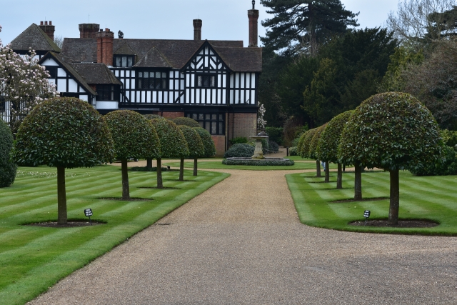 bay tree lined avenue at ascott house on the buckinghamshire bedfordshire border