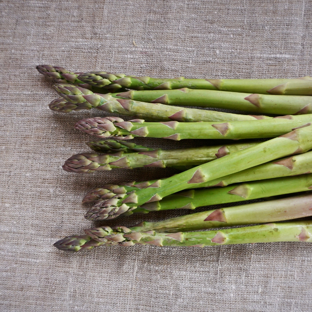 Asparagusn © rtoapantam | Getty Images canva.com