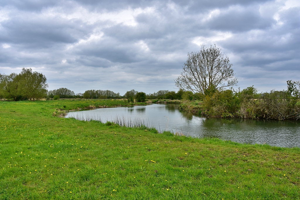 The River Thames Between Rushey and Radcot Locks © essentially-england.com