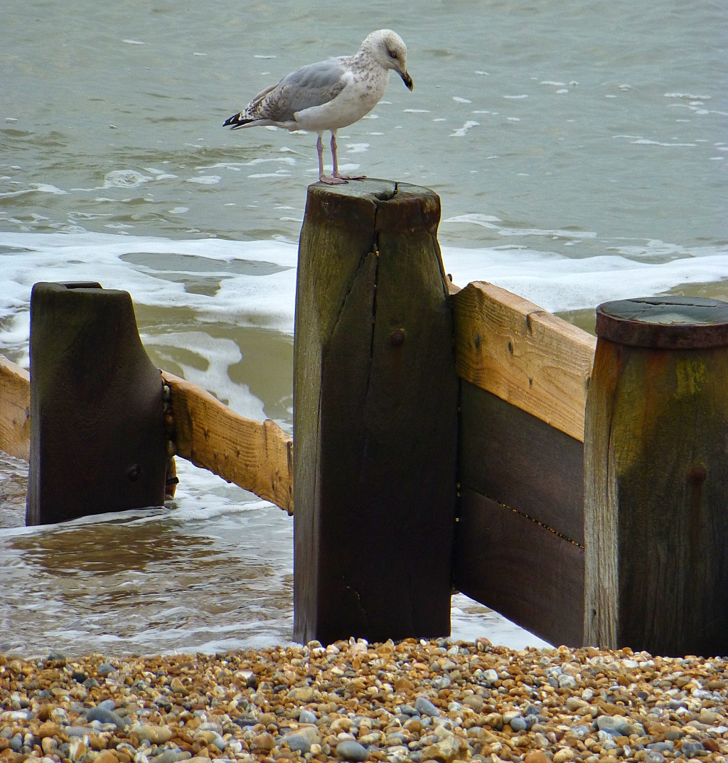 Bexhill Beach © essentially-england.com