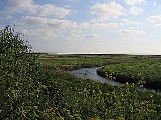 Blakeney Marshes &copy; essentially-england.com