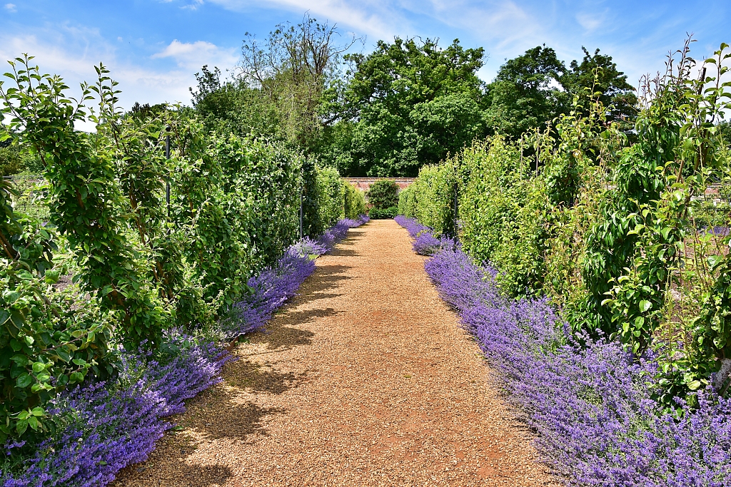 Fruit Trees in the Walled Garden © essentially-england.com