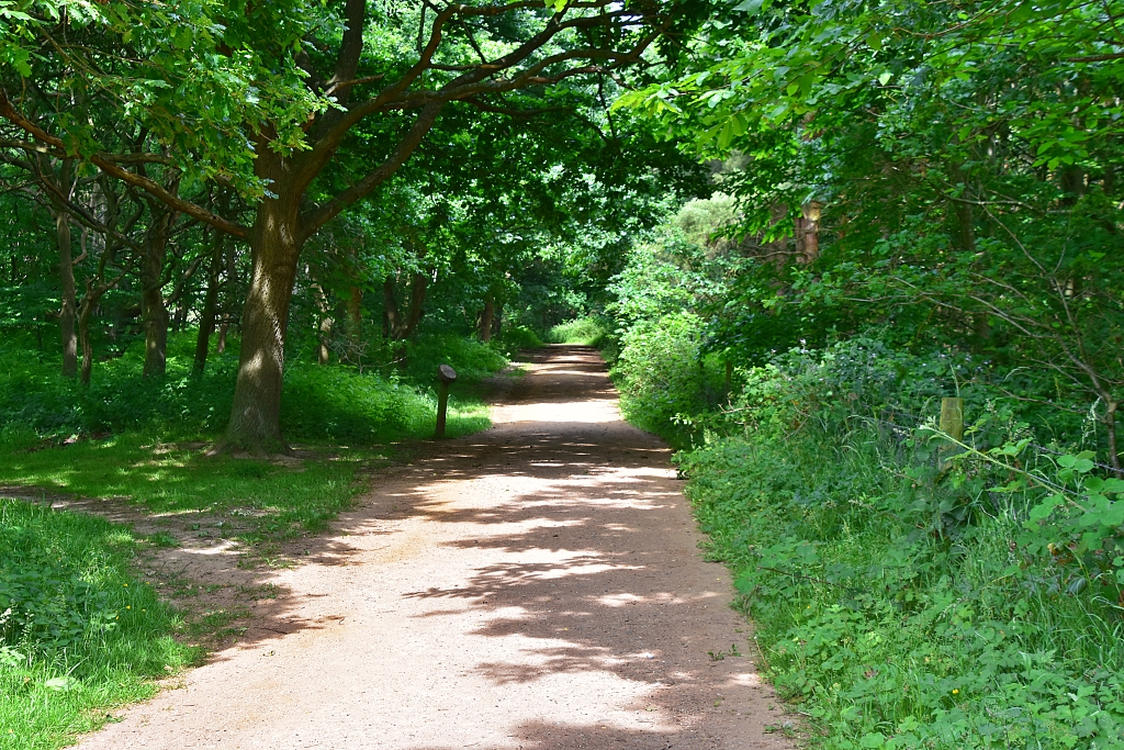 Woodland Near the Mausoleum