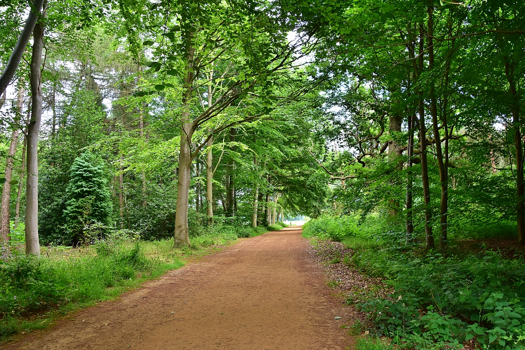 A Break from the Sun in the Woodland