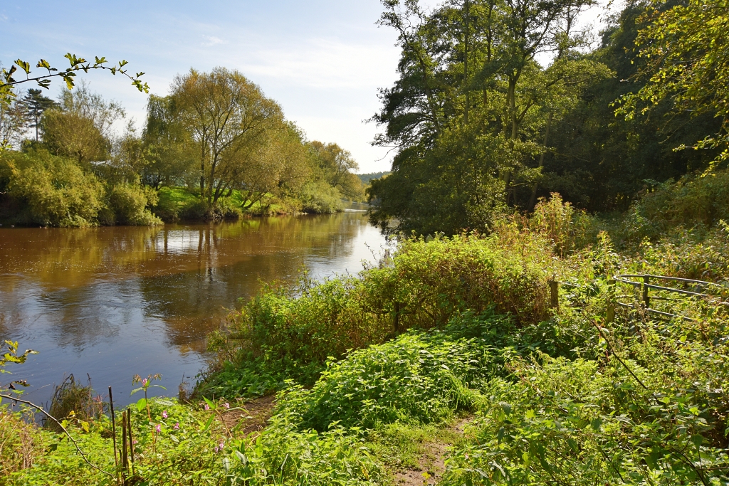 Riverside Path to Daniels Mill © essentially-england.com
