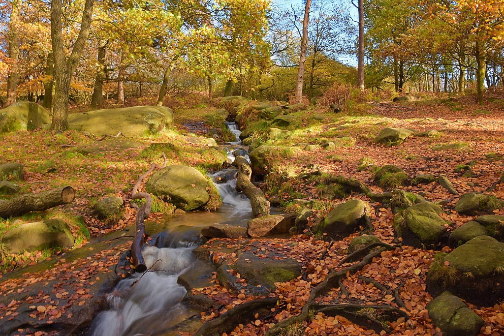 Woodland Stream on the Longshaw Estate © essentially-england.com