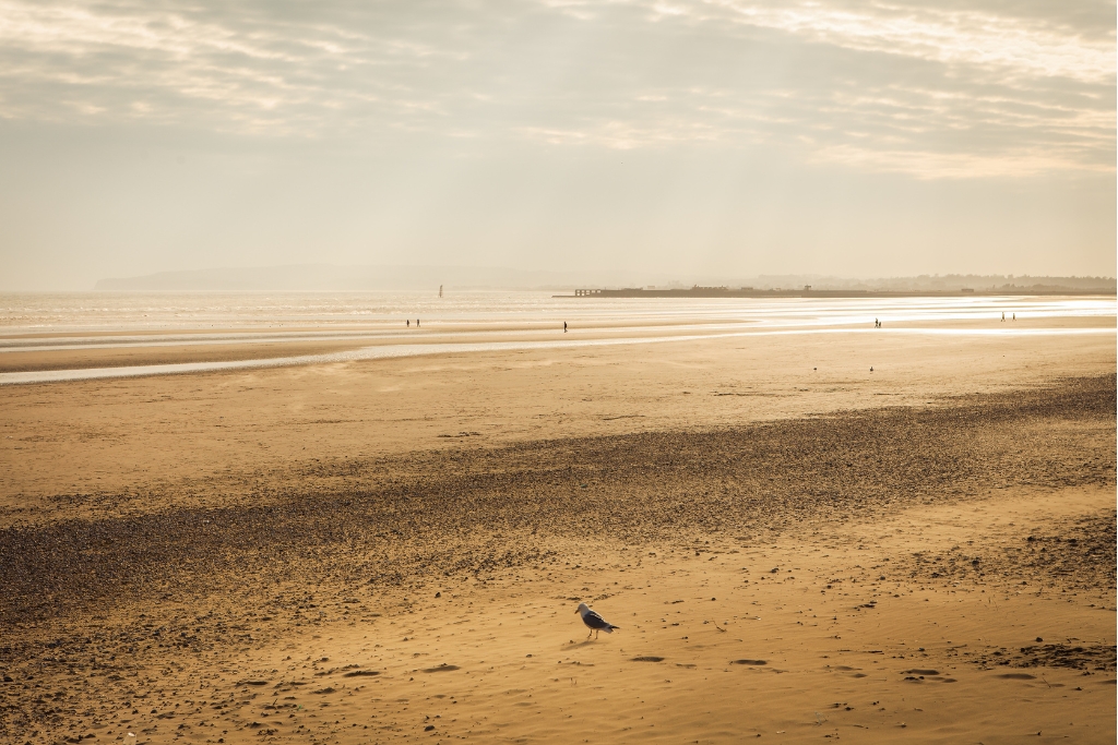 Camber Sands Beach © hija | Getty Images canva.com