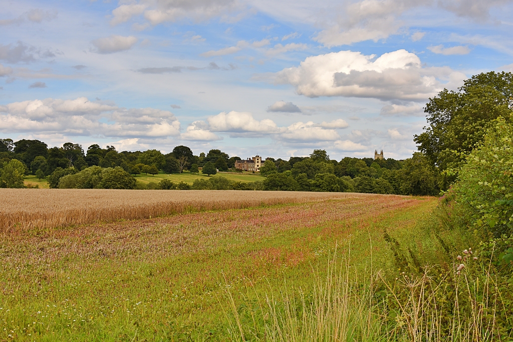 Distant View of Canons Ashby House