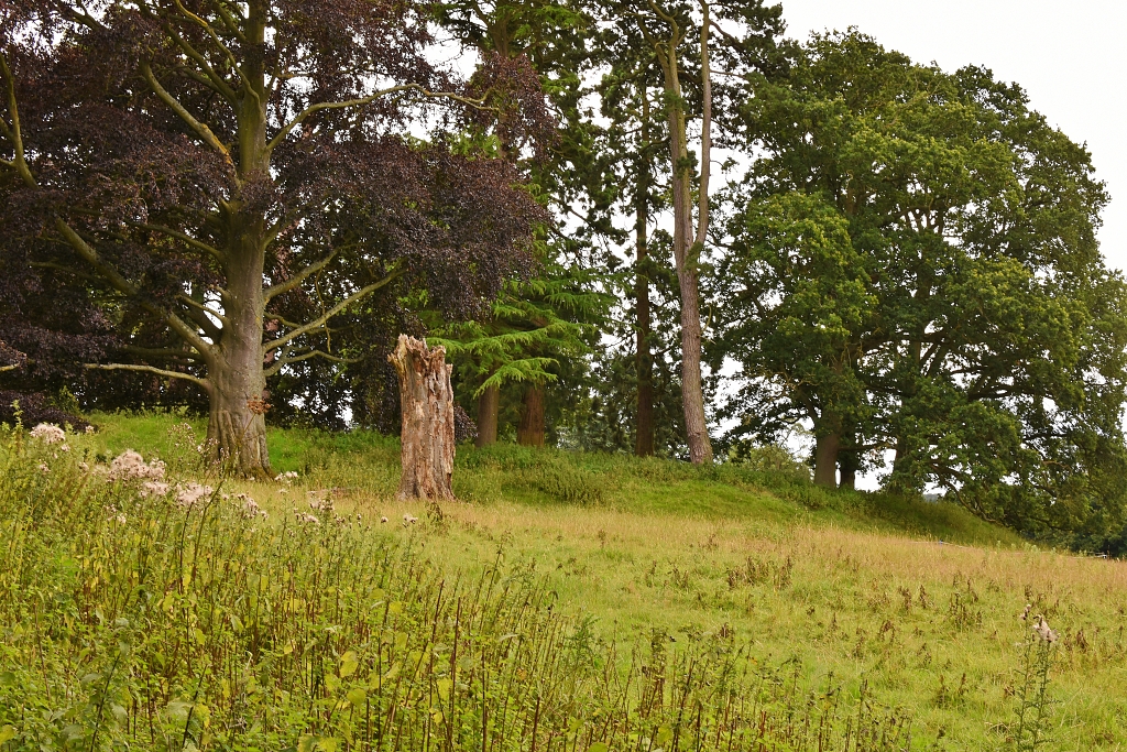 Castle Hill near Canons Ashby House