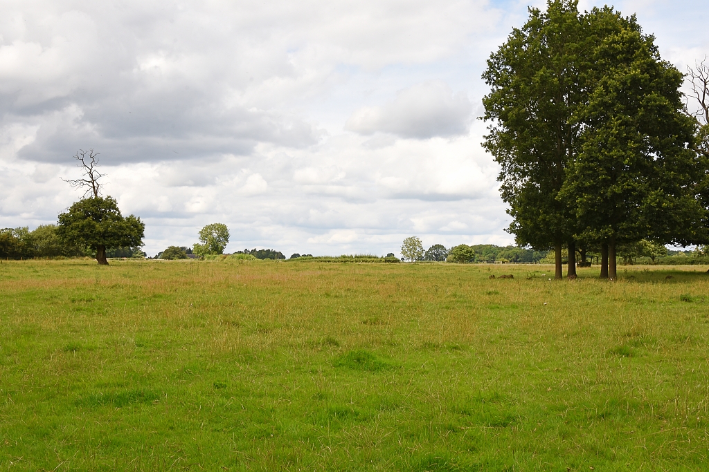 Somewhere Ahead is Ascebi Deserted Village