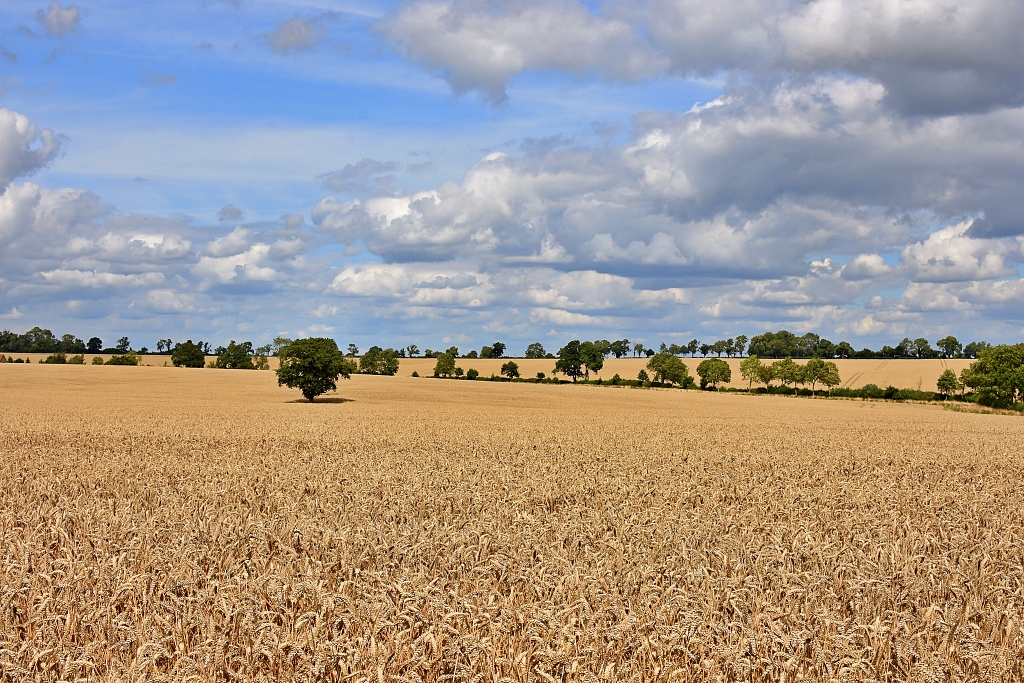 Beautiful Rural Landscape Scene During our Canons Ashby Walk