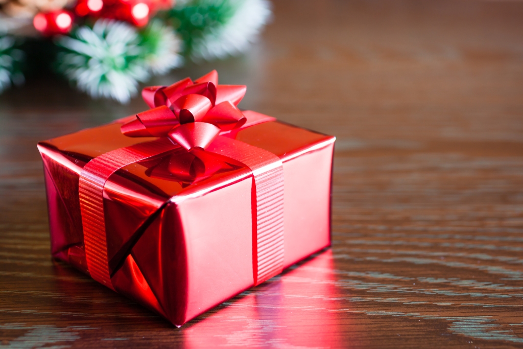 Christmas Gift © kieferpix | Getty Images canva.com