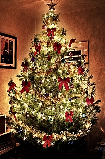 Decorated Christmas tree by Gavin Mills, freeimages.com