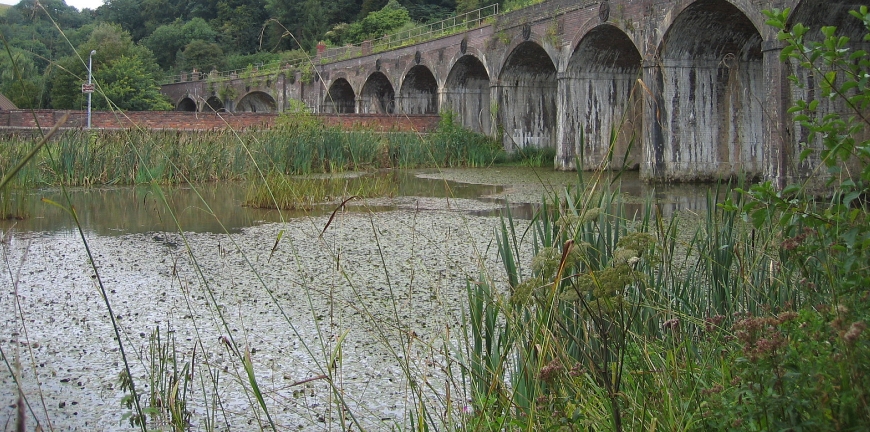 Nature reserve in Coalbrookdale, Shropshire &copy; essentially-england.com