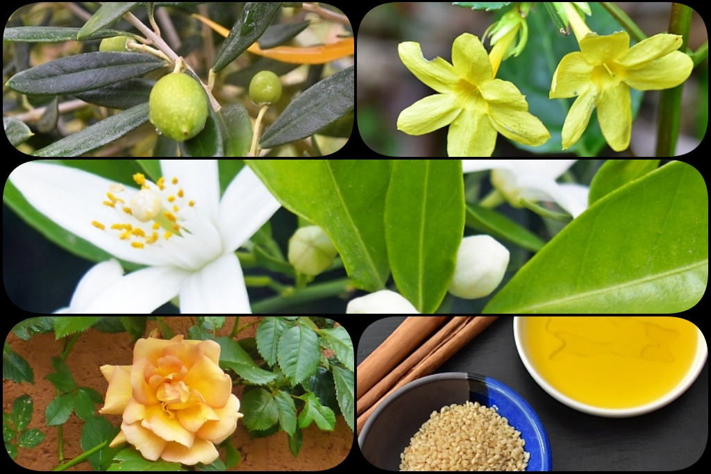 Some Ingredients used in the Coronation Oil. Created in canva.com © essentially-england.com