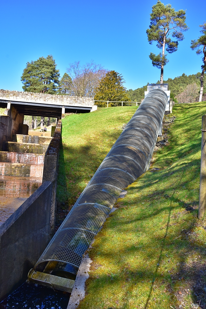 The 2014 Archimedes Screw at Cragside
© essentially-england.com