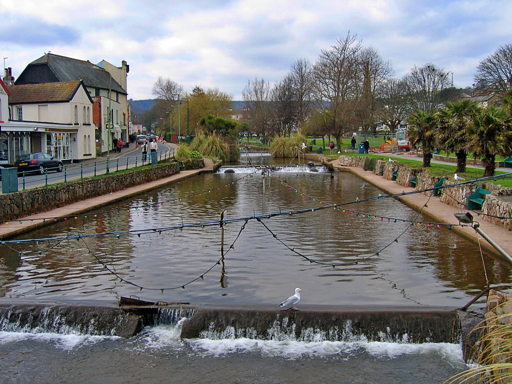 Dawlish Water and Dawlish Lawn