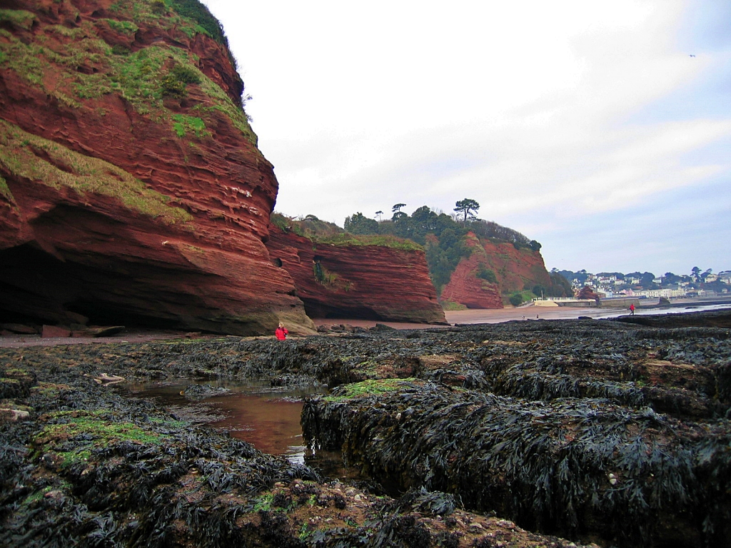 Rock Pools and Red Sandstone Cliffs