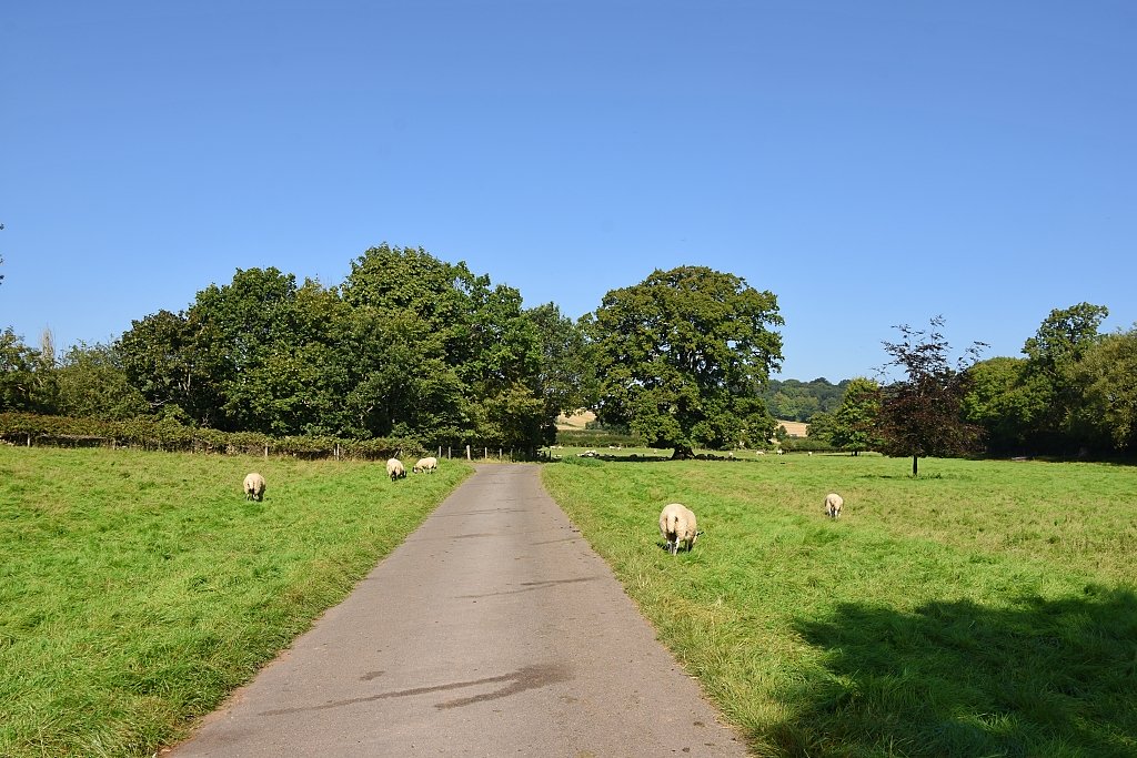 The Driveway to Cutlers Farm