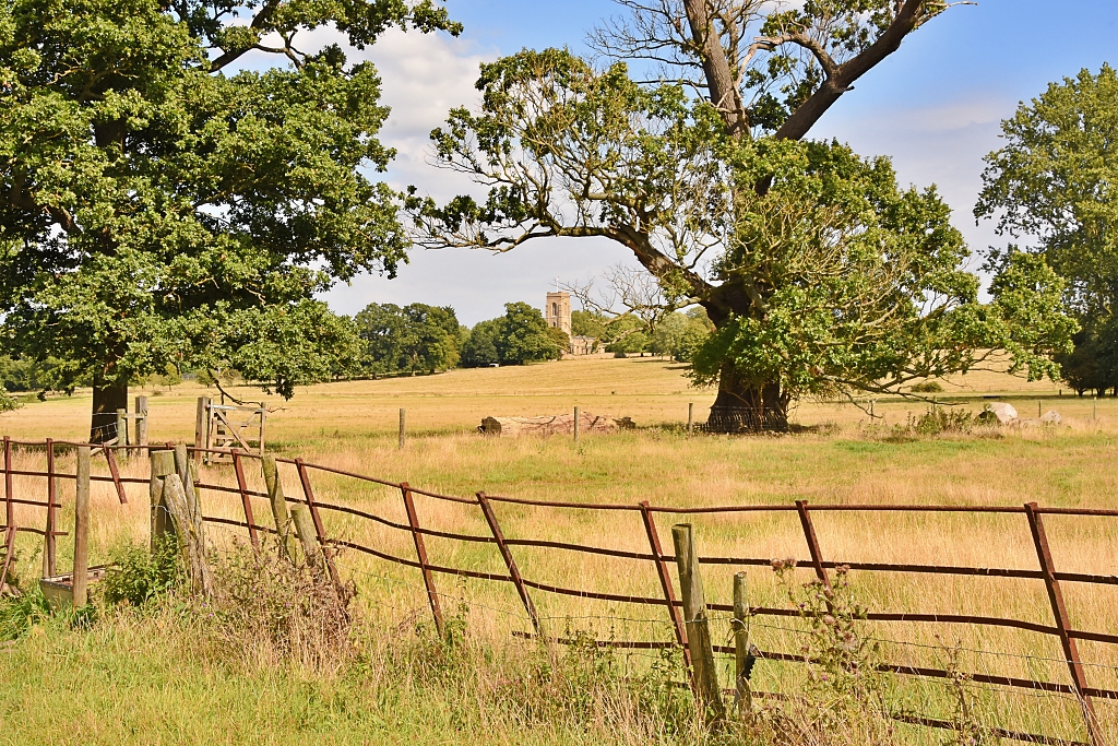 View to All Saints Church in Elton