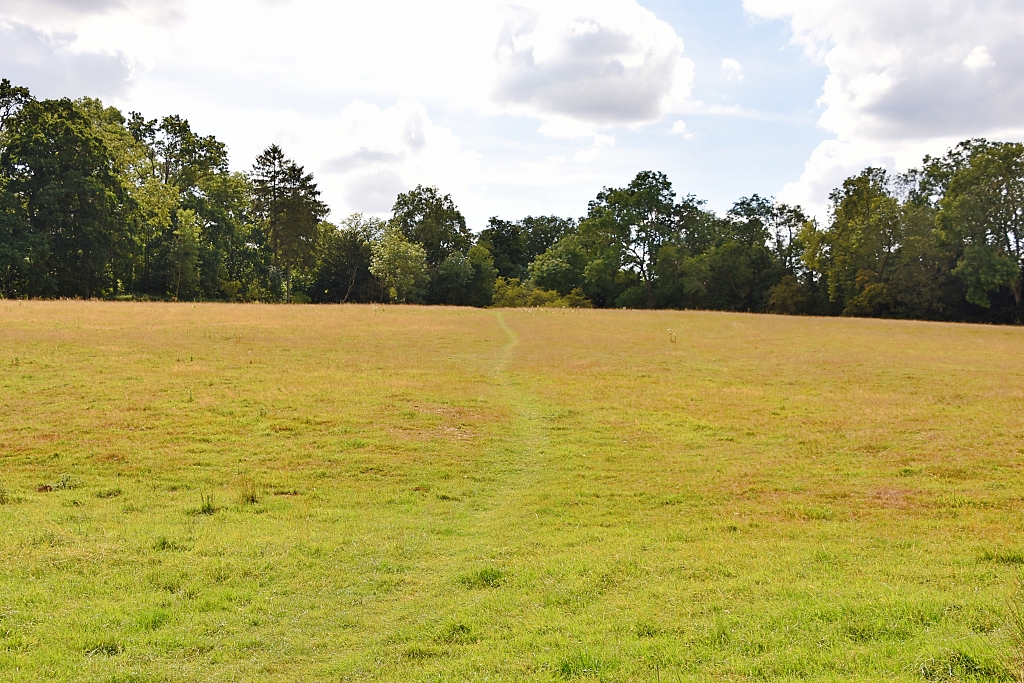 Worn Footpath Towards Trees