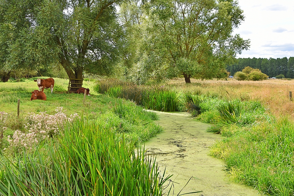 Crossing the Mill Stream