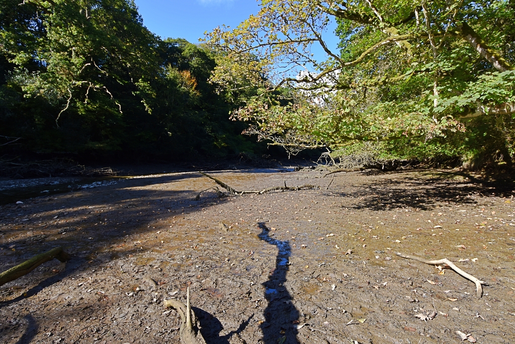 The Mud at the End of Frenchman's Creek