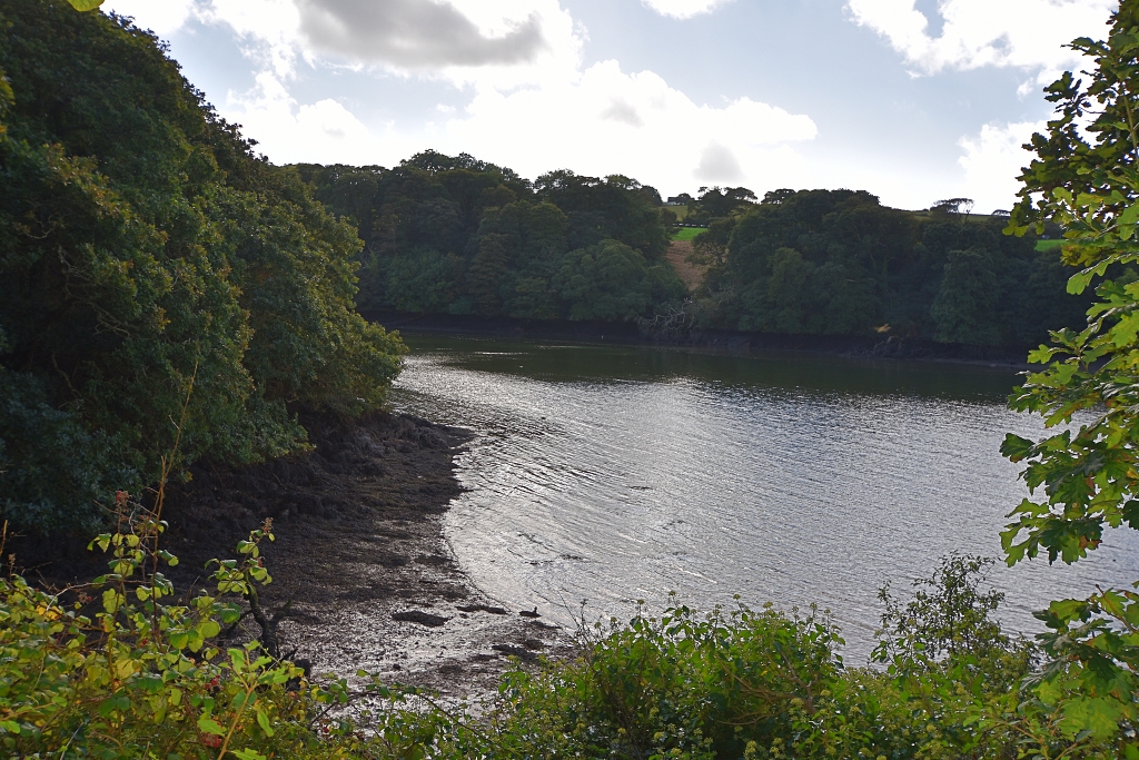 View Over Frenchman's Creek