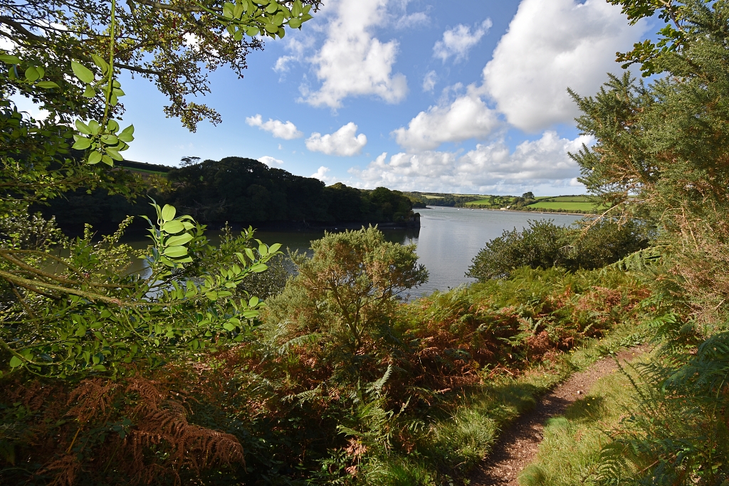 Footpath Besides Frenchman's Creek