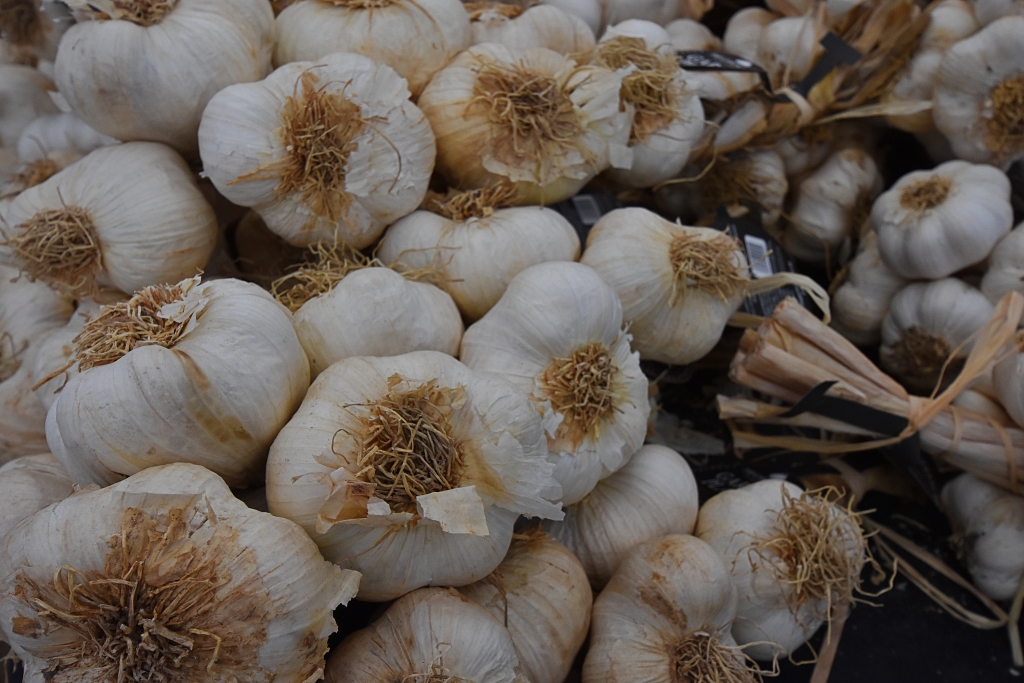 Garlic Festival © essentially-england.com