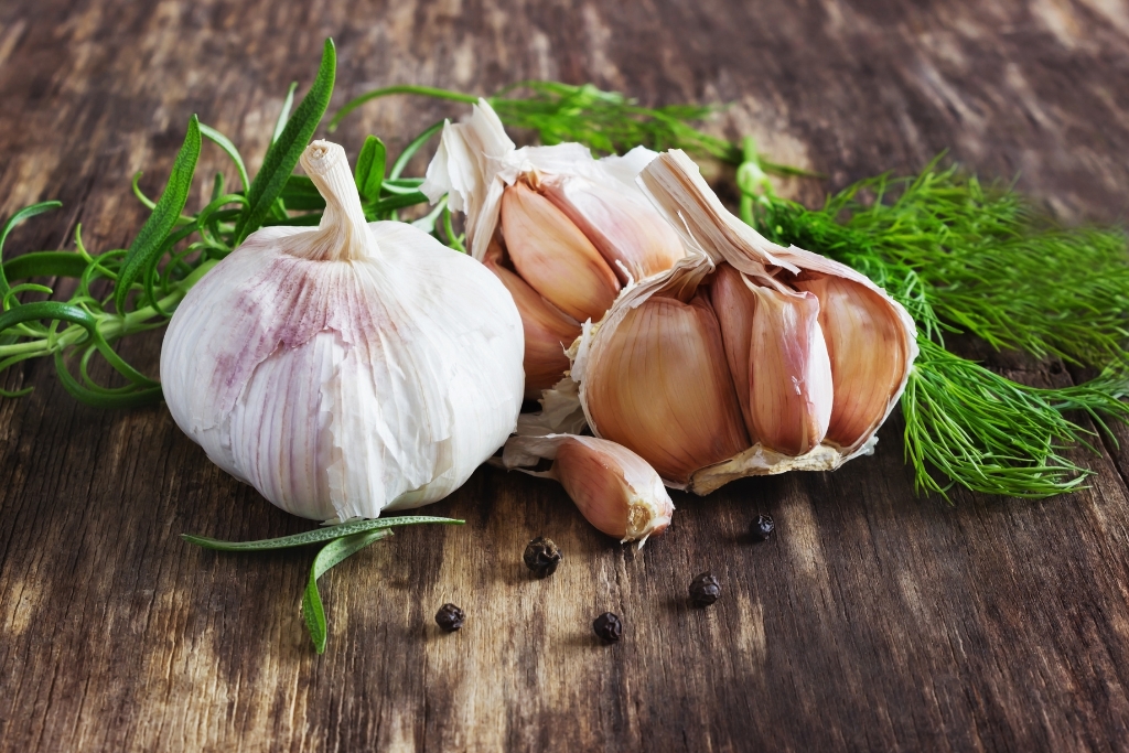 Isle of Wight Garlic Festival © Saharossa40 | Getty Images canva.com