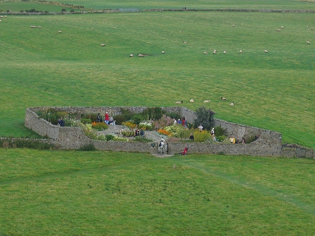 View of the Gertrude Jekyll Garden from Lindisfarne Castle