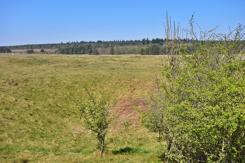 View From Grimshoe Mound
