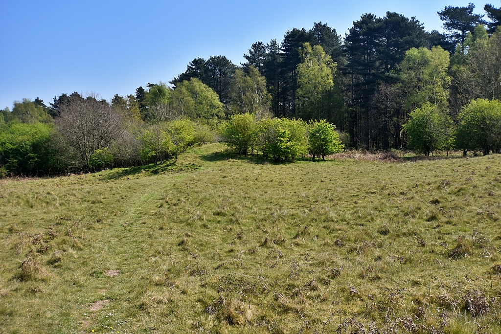 Grimshoe Mound at Grime's Graves © essentially-england.com